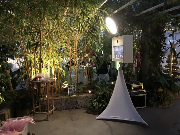 Fotobox zwischen Pflanzen im Gewächshaus der Gärtnerei Elsäßer