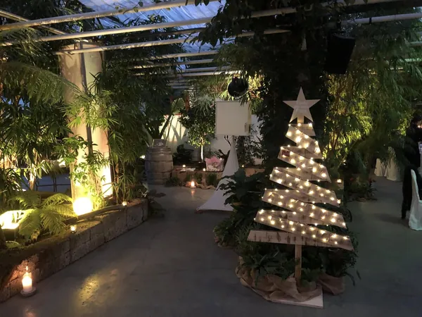 Beleuchteter Holzbaum und Pflanzen im Gewächshaus der Gärtnerei Elsäßer