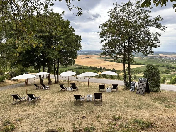 Liegestühle und Sonnenschirme auf der Wiese der Heuchelberger Warte