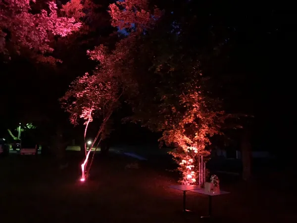 Rot angestrahlte Bäume im Garten des Kovas Balkan Restaurant bei Nacht