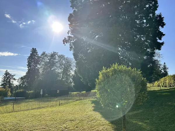 Gartenwiese mit Bäumen im Gegenlicht am Schloss Wachendorf